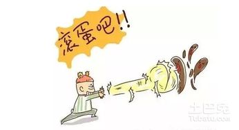 除甲醛公司服務(wù)價(jià)格解析及環(huán)保咨詢服務(wù)概覽